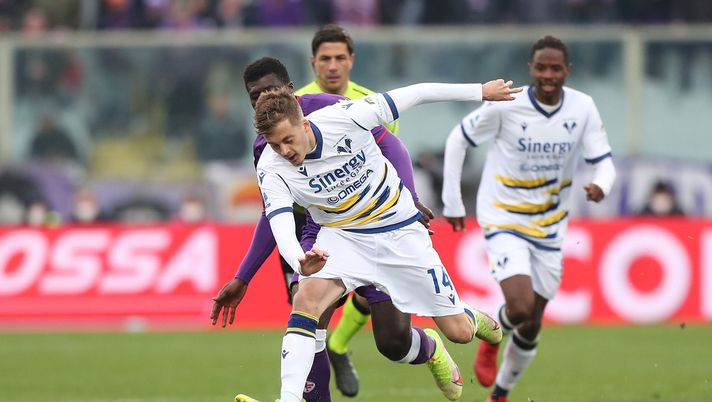 Le mosse a centrocampo: l’ultima idea è Ilic - immagine 1