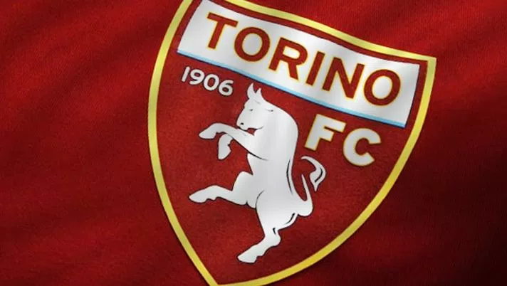 Il Torino ospita uno stage formativo di due giorni: i dettagli - immagine 1