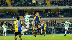 Djuric più Gaich, le scelte possibili per l’attacco