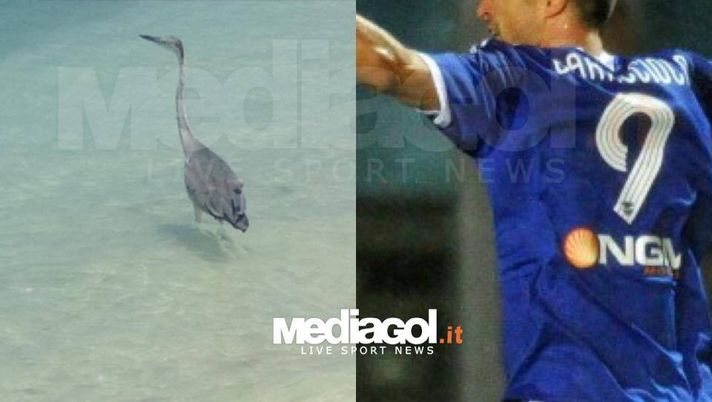 dal profilo Instagram di Fabio Daprelà 