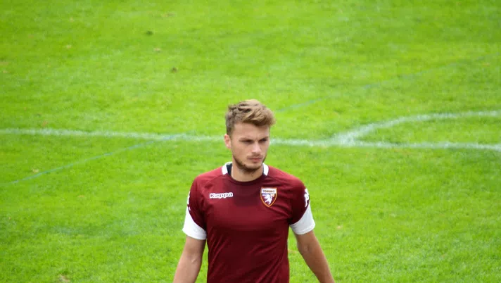 Adem Ljajic