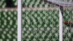 Figc, la Lega Pro chiede lo stop definitivo della stagione