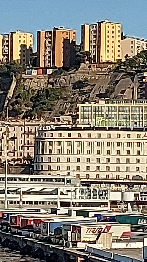 GENOVA OREGINA BLUERCHIATA