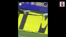 VIDEO Calcio, clamoroso in Russia: invasione di campo di una… serpe