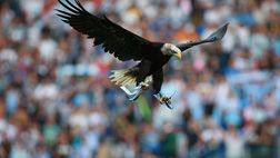 Lazio, falconiere dell’aquila Olimpia fa il saluto romano allo stadio: sospeso