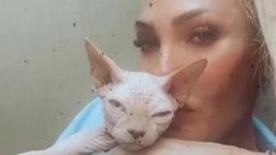 VIDEO / Ilary Blasi in posa con il suo gatto Alfio: quante coccole!