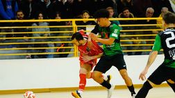 HIGHLIGHTS e INTERVISTE Pordenone-Vinumitaly Petrarca 1-4