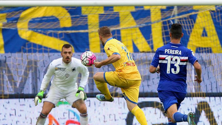 Serie A: Sampdoria-Frosinone a rischio rinvio, i dettagli 