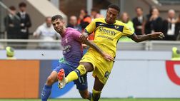 Verona-Milan, non solo Suslov e Folorunsho: alla scoperta dei gialloblu