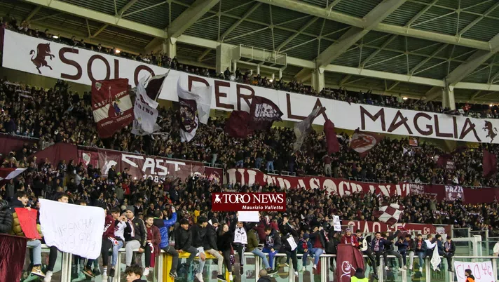 Il peso politico del Torino - immagine 1