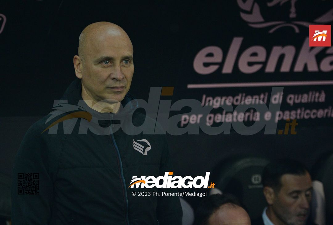 FOTO Palermo-Brescia 2-2, 38ª giornata di Serie B 2022-2023 (GALLERY) - immagine 39