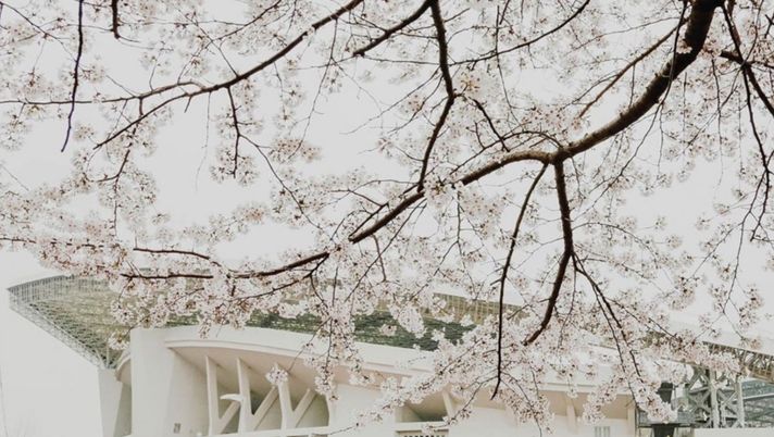 Storica decisione in j-League 