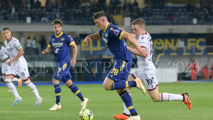 Formazione Verona, torna Faraoni, ballottaggio Gaich-Djuric Formazione Verona, torna Faraoni, ballottaggio Gaich-Djuric - immagine 1