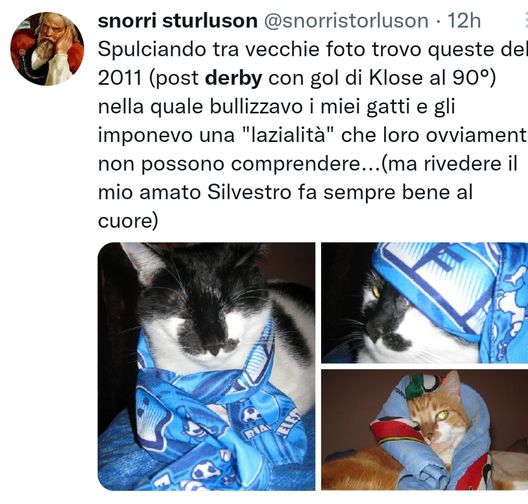 Il Gatto Silvestro con la sciarpa della Lazio: nel nome del derby firmato da Klose- immagine 2