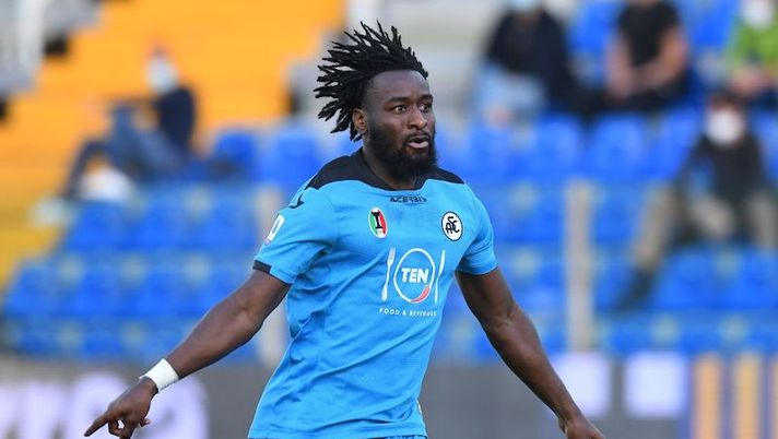 Spezia, buone notizie per Terzi e Farias. E la svolta (anche al fanta) è in arrivo per Nzola - immagine 1