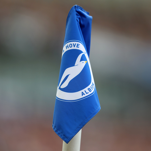 Brighton-Crystal Palace: rinviata per…sciopero dei treni- immagine 2