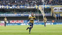 Verona, la probabile formazione per la sfida al Trapani