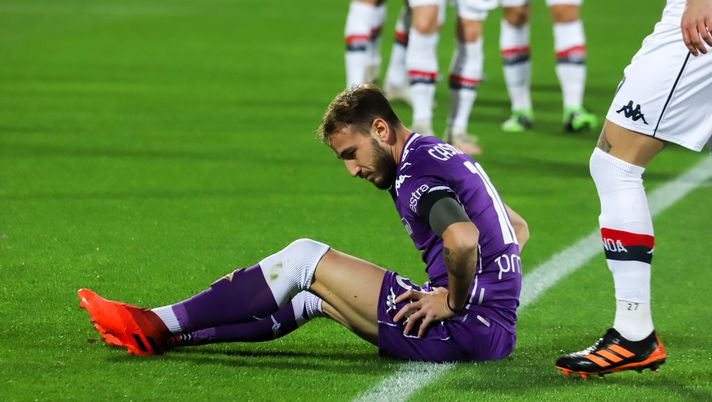 GERMOGLI PH: 7 DICEMBRE 2020 GERMOGLI PH: 7 DICEMBRE 2020