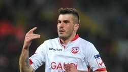 Mercato Padova, ritorno al passato: vicino l’ingaggio di Enej Jelenic