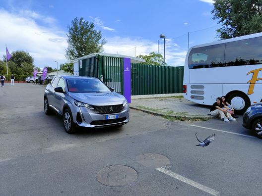 FOTO VN – Fiorentina al Franchi: riecco Bonaventura, c’è Zurkowski- immagine 3