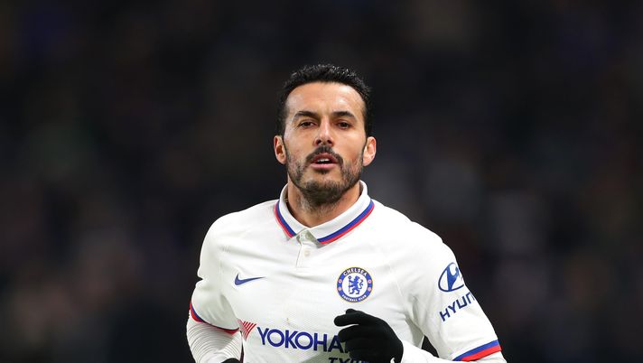 Pedro 