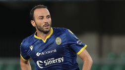 Pazzini, le scuse di Juric: “Su di lui mi sbagliavo”