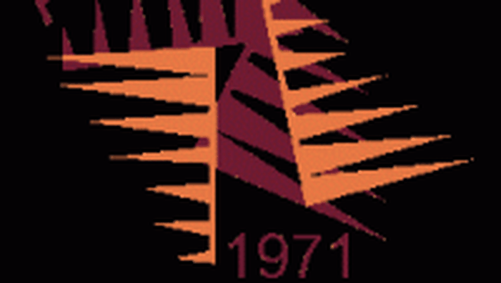 AIRC 1971 organizza trasferta a Siena - immagine 1