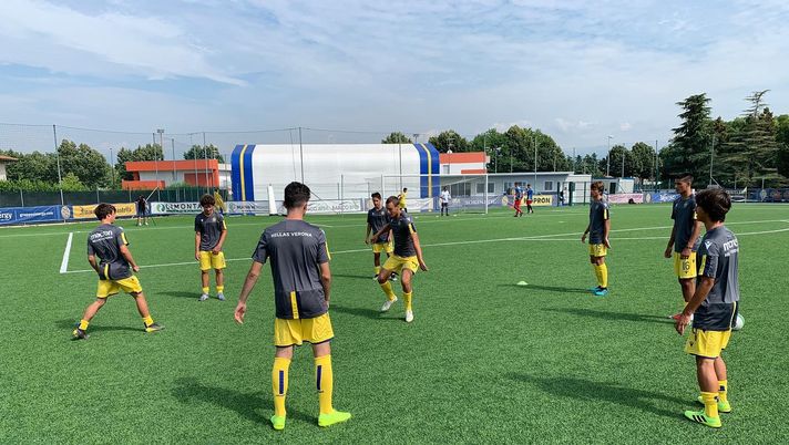 Hellas Verona Giovanili  Hellas Verona Giovanili