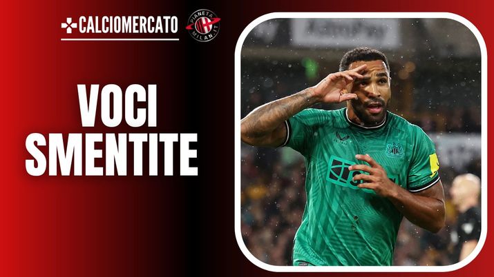 Callum Wilson Newcastle