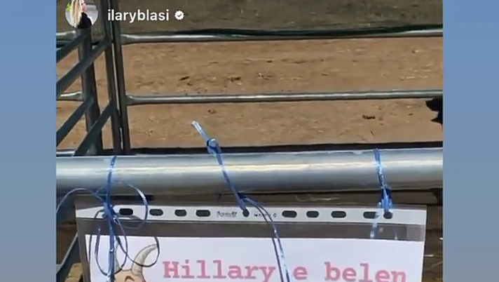 Belen, ironia social con Ilary Blasi: “Capra e pecora? Da capire…”  Belen, ironia social con Ilary Blasi: “Capra e pecora? Da capire…” - immagine 1