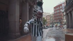 Real Madrid-Juventus, la zebra bianconera arriva in Spagna e “ruba” la borsa a un bambino | VIDEO
