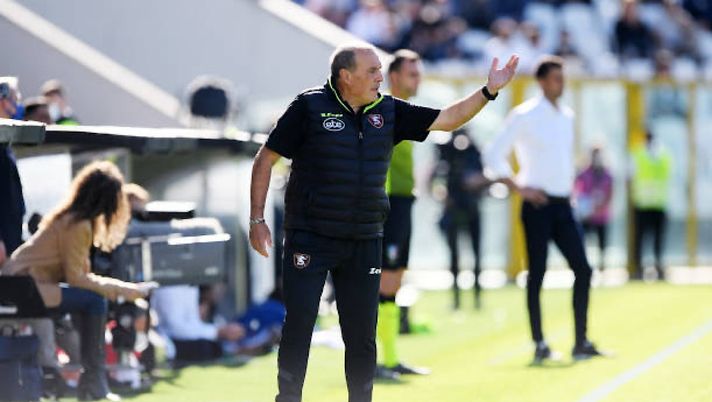 Salernitana, Castori verso l’esonero. In pole per la panchina c’é Colantuono - immagine 1