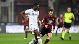 Salernitana-Bologna, le pagelle del Resto del Carlino