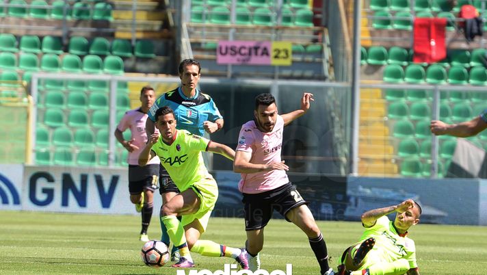 ipp/pasqualeponente
palermo 15/04/2017
campionato di calcio serie a 2016/17
palermo - bologna
bruno enrique
italy photo press - world copyright ipp/pasqualeponente
palermo 15/04/2017
campionato di calcio serie a 2016/17
palermo - bologna
bruno enrique
italy photo press - world copyright