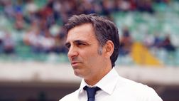 Ex Verona, Pecchia nel mirino del Palermo
