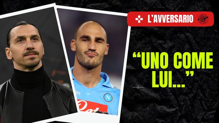 Paolo Cannavaro, Zlatan Ibrahimovic