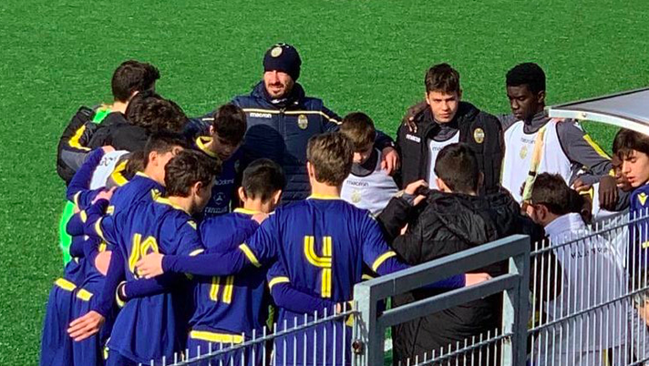Hellas Verona Giovanili  Hellas Verona Giovanili
