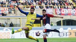 Casa Bologna: tutti disponibili per la trasferta di Firenze