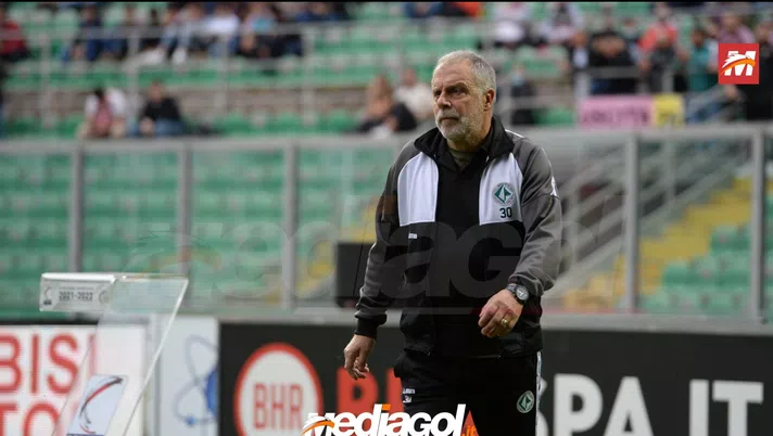 avellino