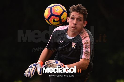 Leonardo Marson Leonardo Marson