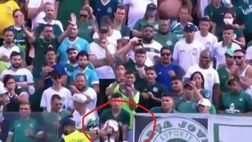 Serie B brasiliana, tira in porta e colpisce Cristina: la tifosa sugli spalti stava bevendo una birra…