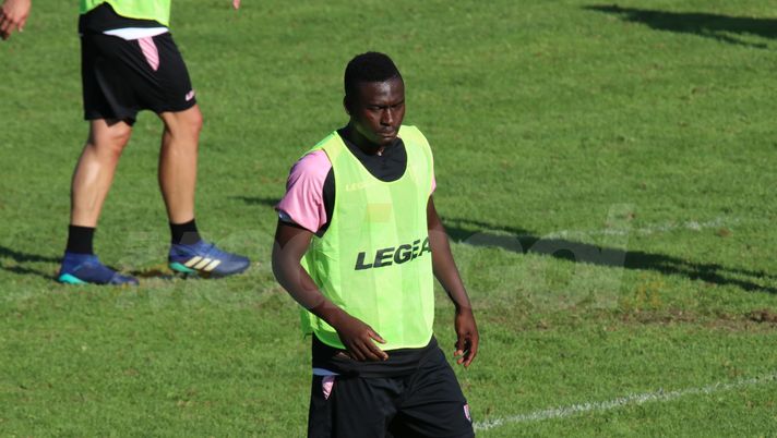 Palermo, il tridente “mariniano”: Moreo l’unica certezza. Puscas da valutare, chance per Embalo e Balogh? Palermo, il tridente “mariniano”: Moreo l’unica certezza. Puscas da valutare, chance per Embalo e Balogh?