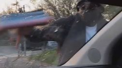 Zapata si improvvisa lavavetri: super scherzo alla moglie (VIDEO)
