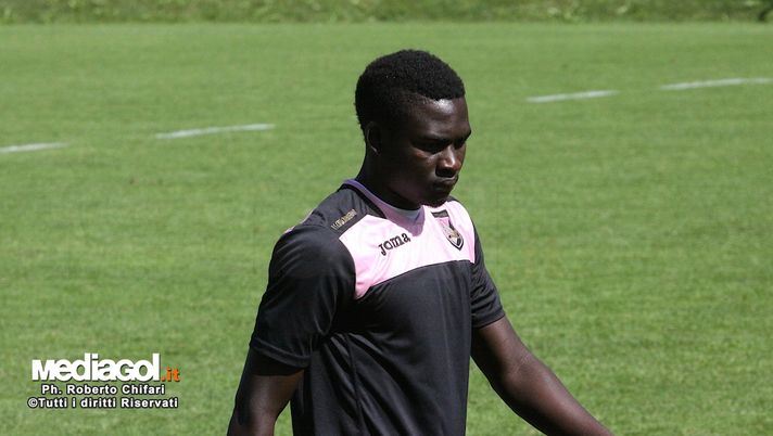 PALERMO: NUOVO INNESTO AL FIANCO DI BACCIN PALERMO: NUOVO INNESTO AL FIANCO DI BACCIN