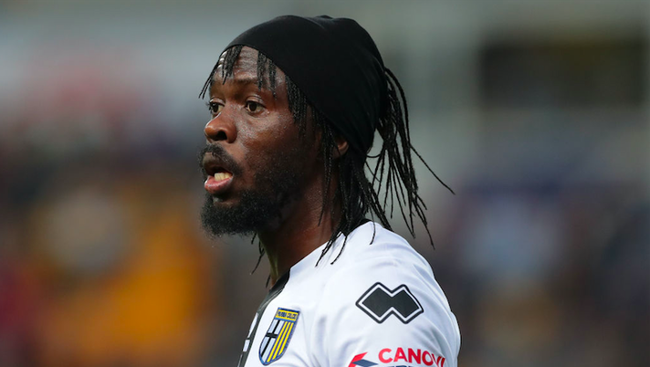 Parma, D’Aversa: “Gervinho può giocare dall’inizio”. Le prove di formazione, torna Sepe - immagine 1