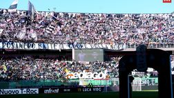 Palermo-Ternana, il dato sugli spettatori presenti al “Renzo Barbera”