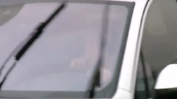VIDEO / Kroos, non si usa il cellulare mentre si guida! Per poco il tedesco…
