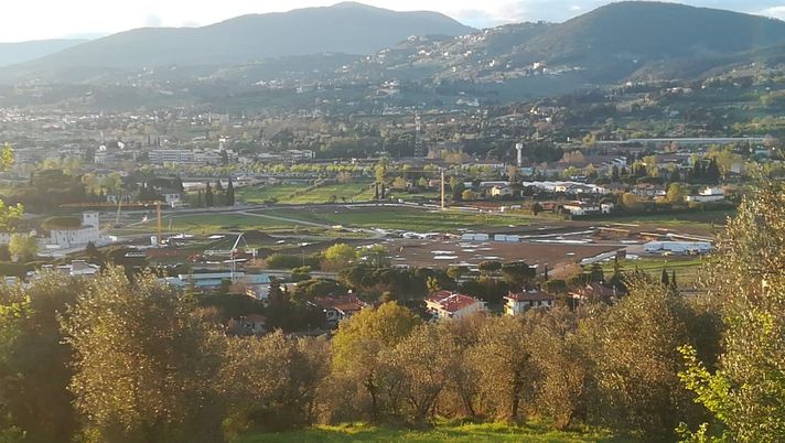 Foto di Violanews.com 