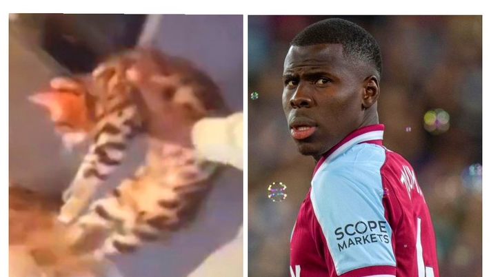 Zouma, che fai? Maltratta il suo gatto in un video e il West Ham prende le distanze - immagine 1