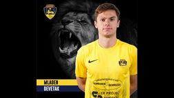 Viterbese, il ds Magoni: “Devetak come Mihajilovic e Milinkovic Savic. Il Palermo…”